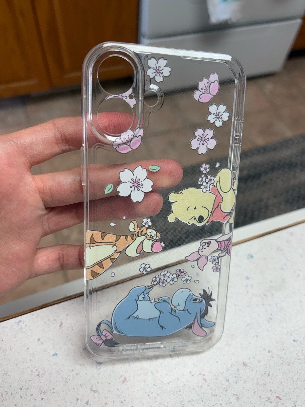iPhone 16 Plus case